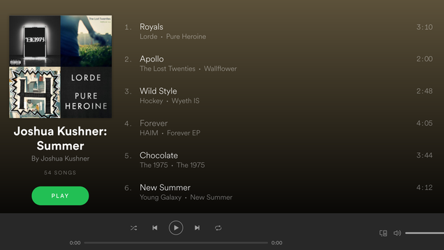 Image: screengrab Spotify public platlist